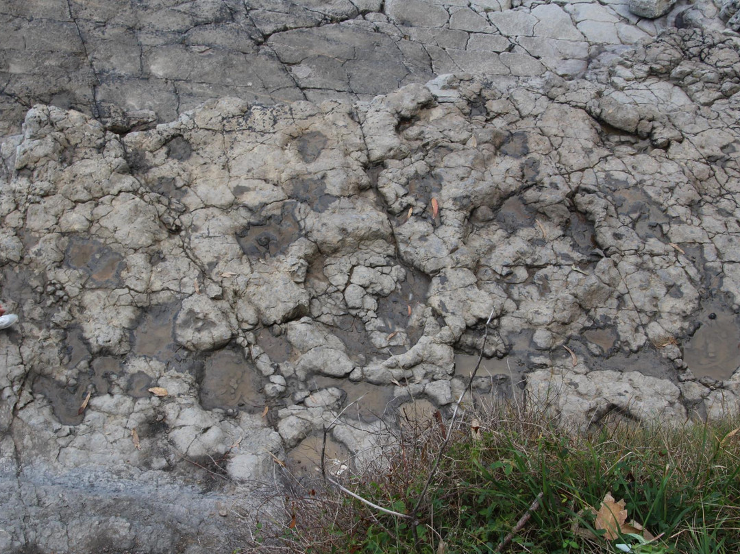 Yacimiento de Icnitas de la playa de la Griega景点图片