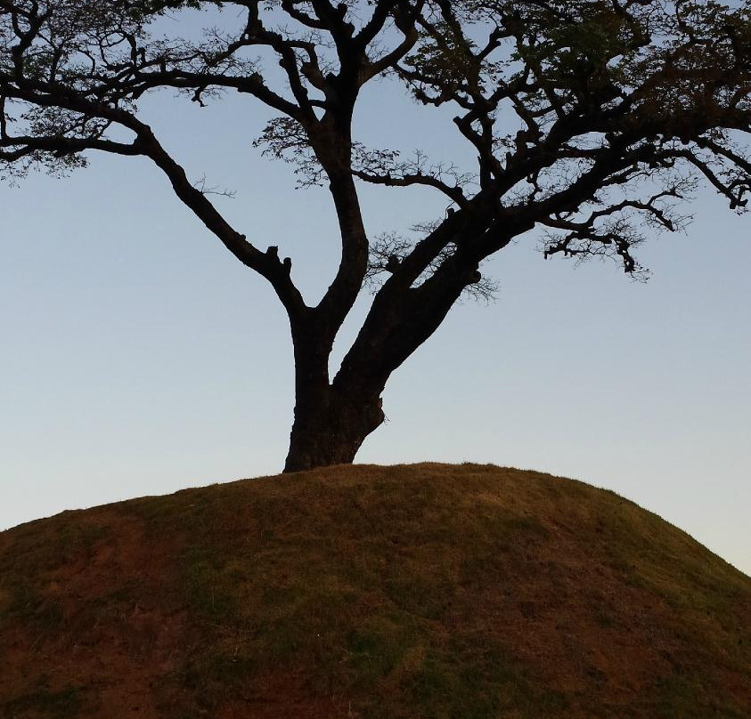 Olho Latino Museum-阿蒂巴亚必去景点
