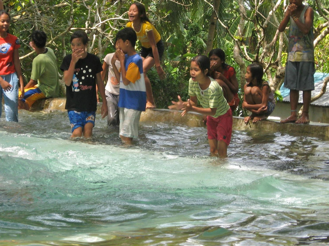 San Fernando Swimming Pool景点图片