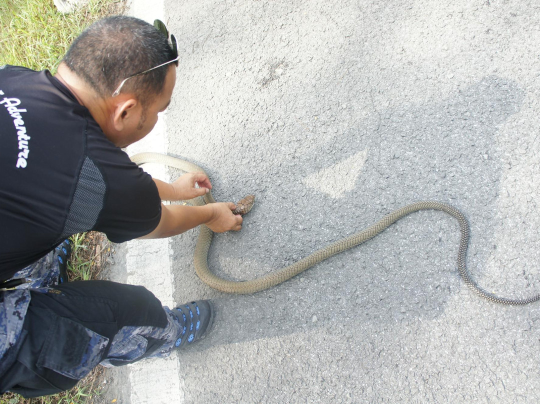 Peraya Homestay - Private Tours-古晋必去景点