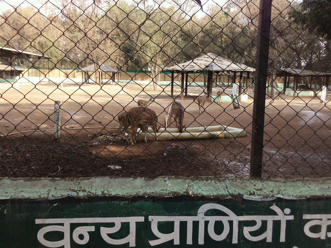 Nandan Van Nature Center景点图片