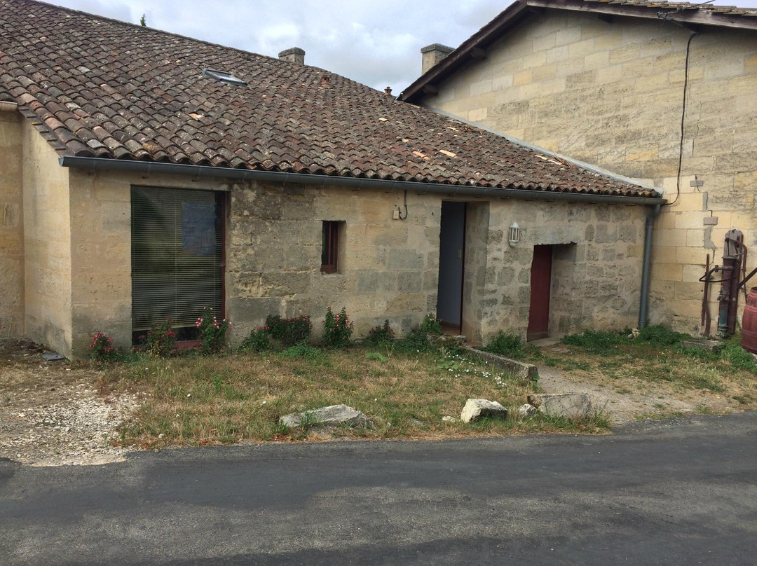 布瑟佐尔十字城堡酒店主图