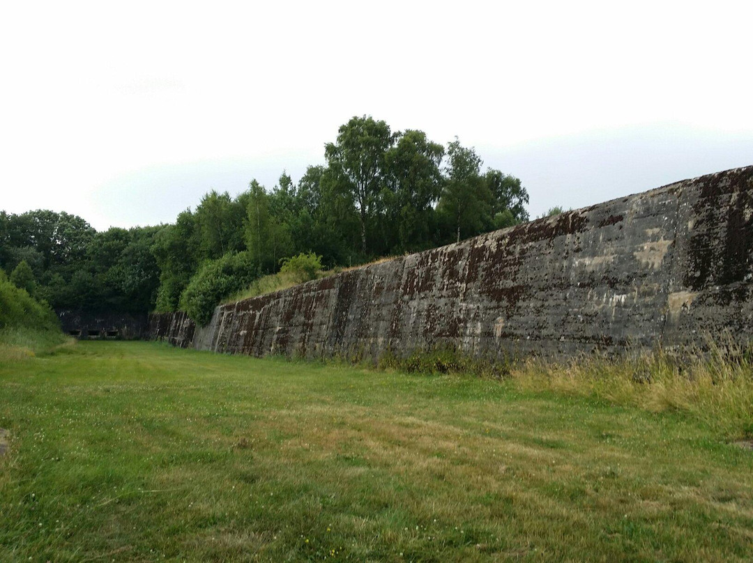 Fort de Tancremont景点图片