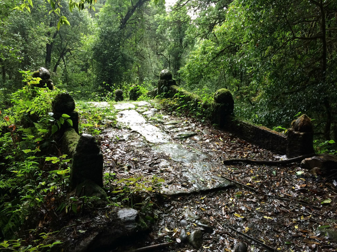 高黎贡山国家级自然保护区景点图片