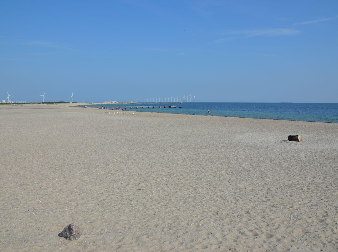 Amager Strandpark-哥本哈根必去景点