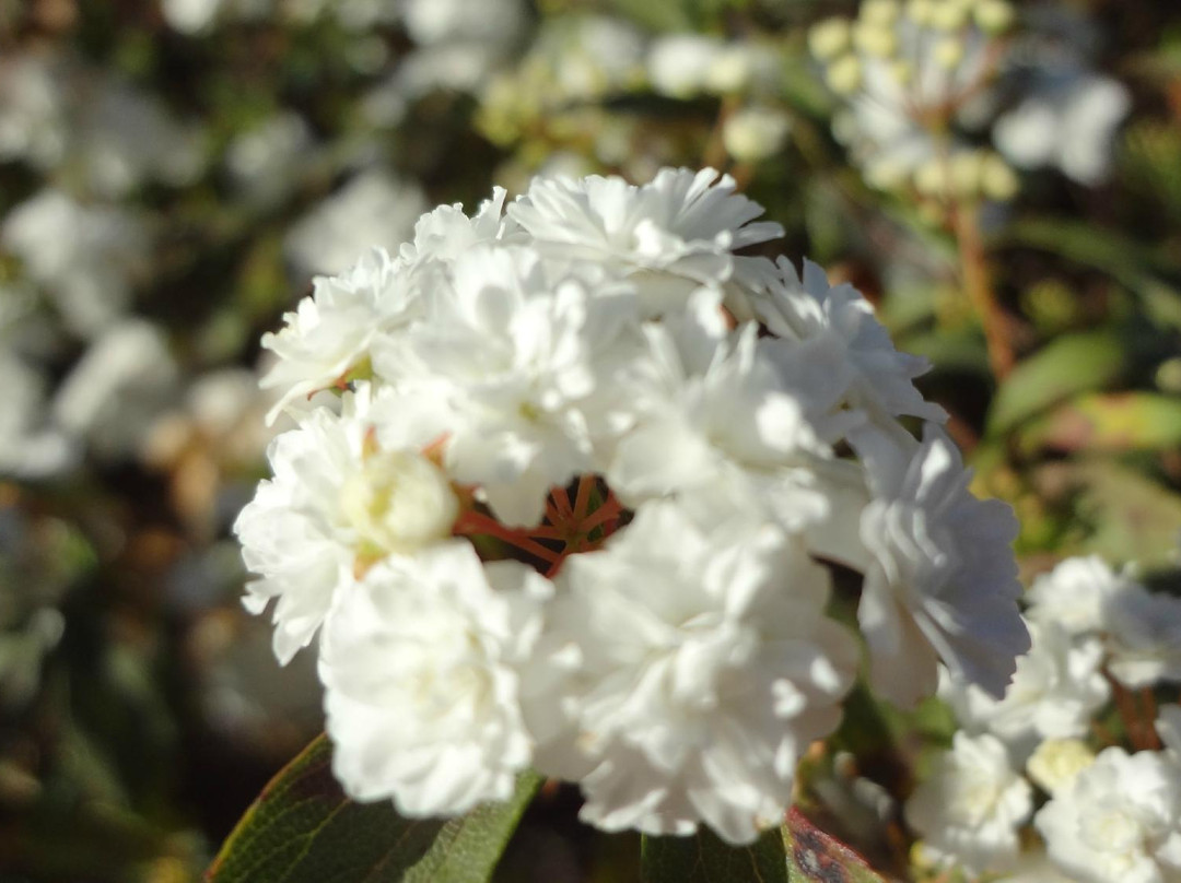 Centro Cultural de Maria da Fe-Maria da Fe必去景点