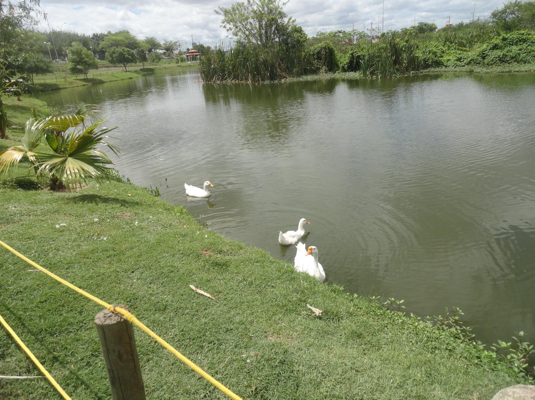 Parque Municipal Erivaldo Cerqueira-Feira de Santana必去景点