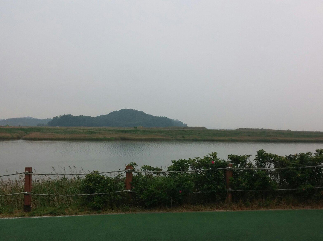 Ansan Reed Wetland-安山市必去景点