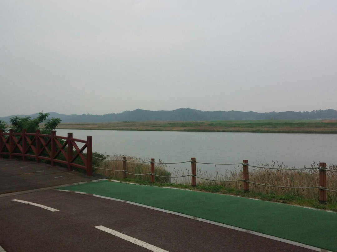 Ansan Reed Wetland-安山市必去景点
