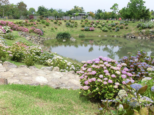 Chubu Park-东员町必去景点