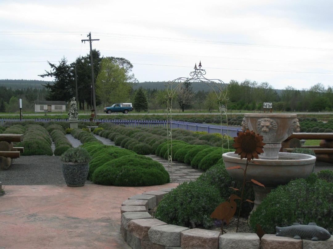 Sunshine Herb and Lavender Farm景点图片