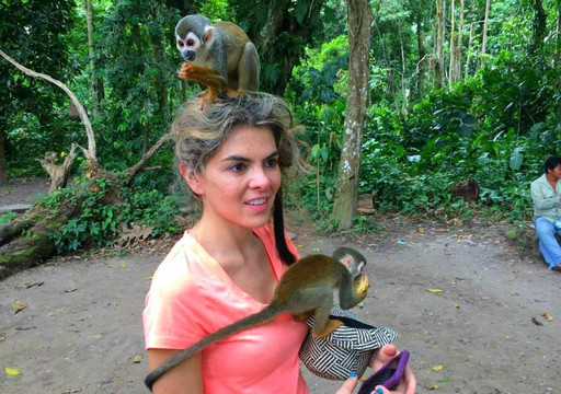 Palenque Tours Colombia-麦德林必去景点