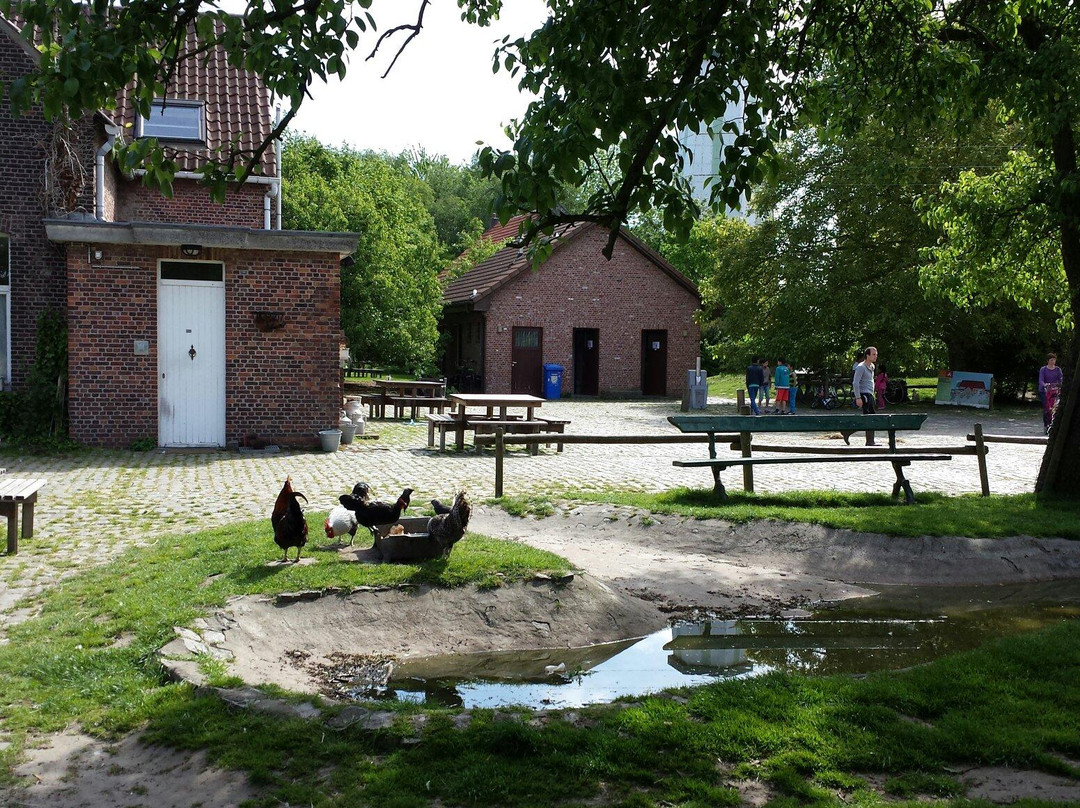 Kinderboerderij De Specht景点图片