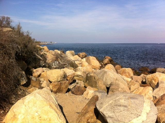 Meigs Point Nature Center-麦迪逊必去景点