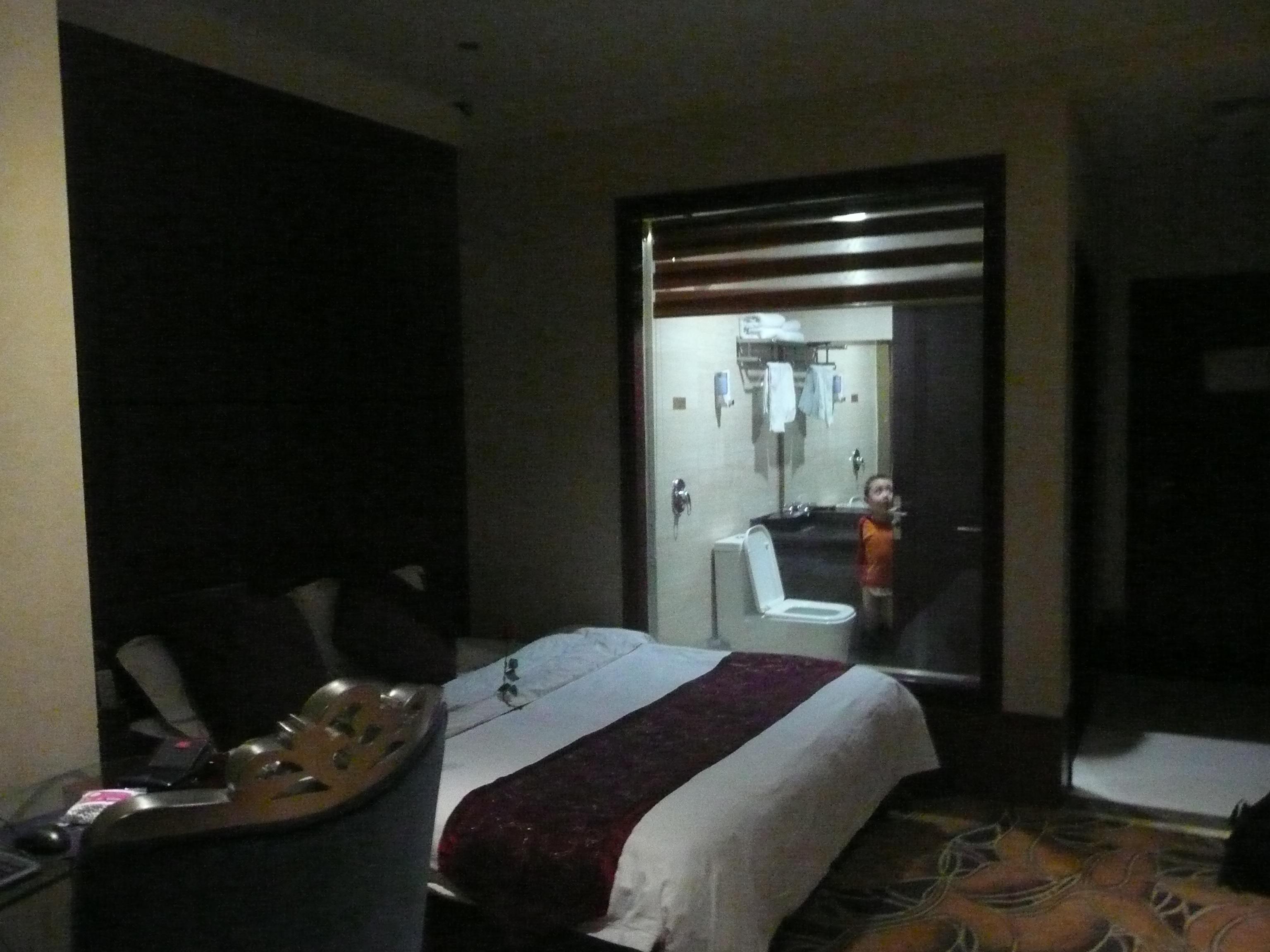 黄河源假日饭店-浴室