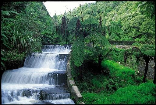 Belmont Regional Park-惠灵顿必去景点