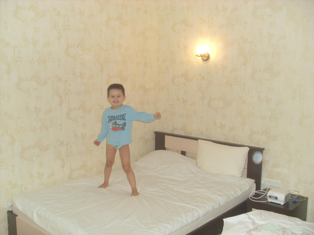 Petrovsky Hotel主图