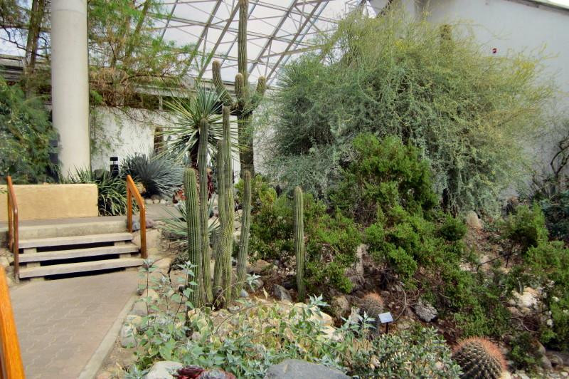 Foellinger-Freimann Botanical Conservatory-韦恩堡必去景点