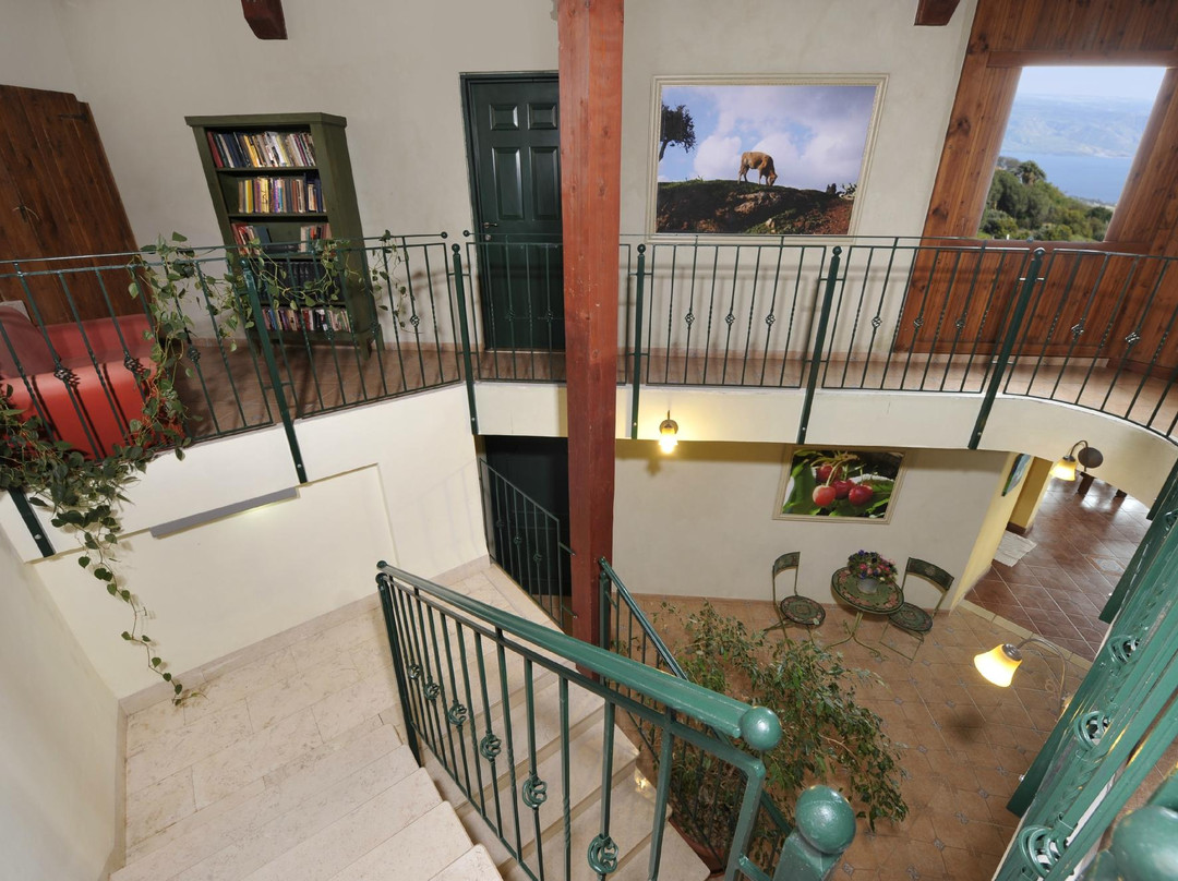 Honny's Circle主图