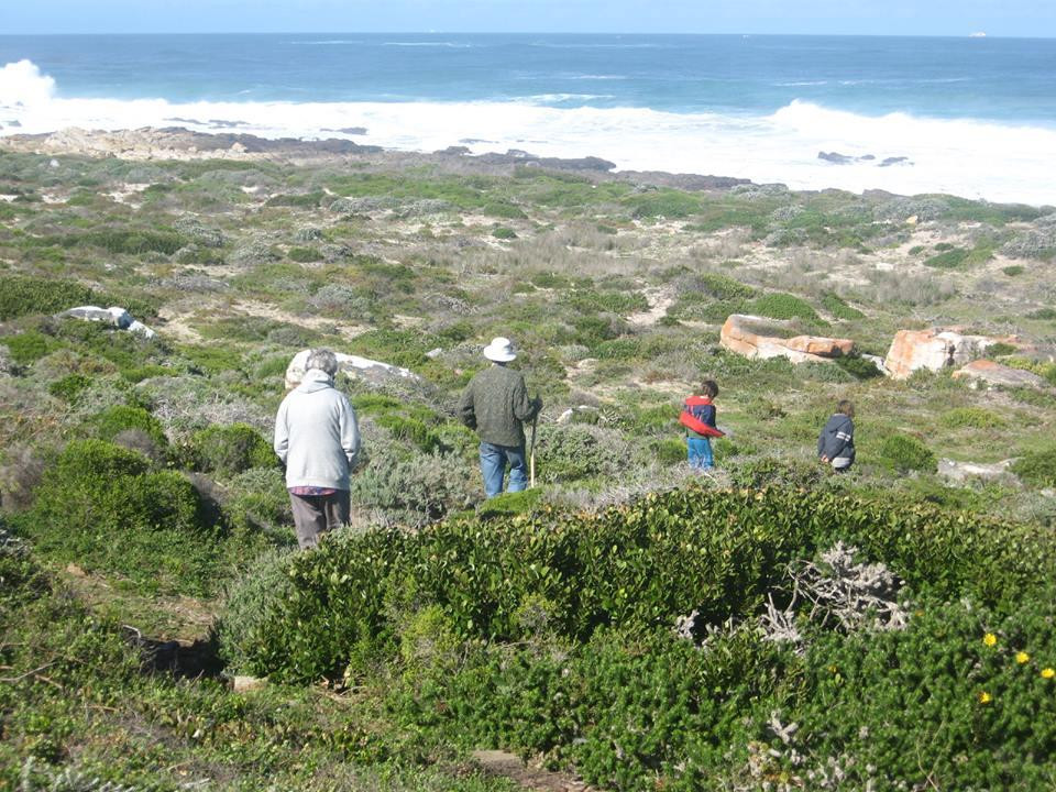 Guided Nature Trails Cape Point-开普敦中心区必去景点