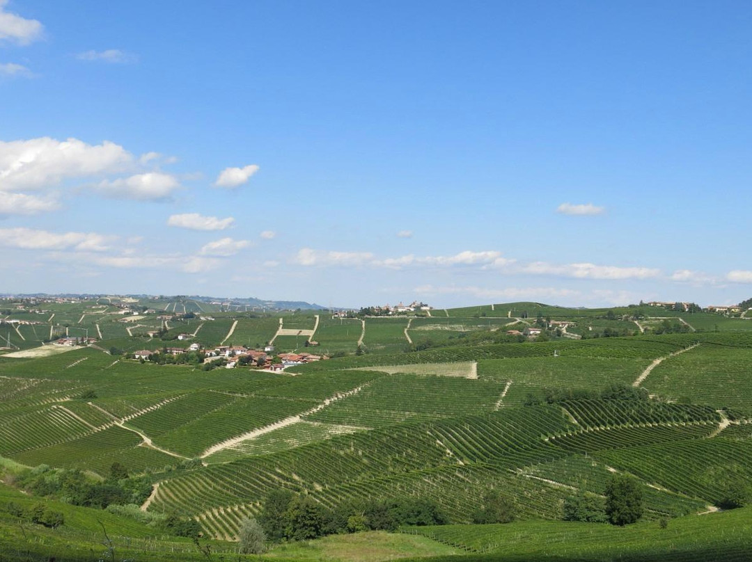 Bruno Rocca vineyard景点图片