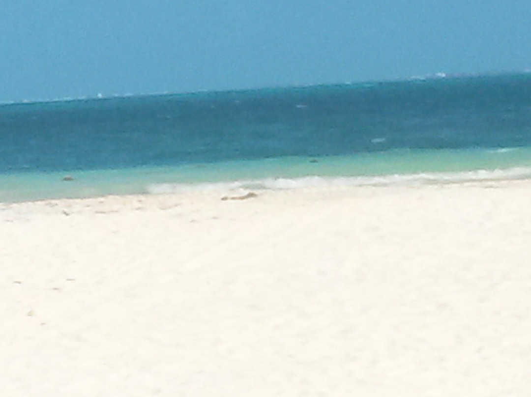 Playa Langosta景点图片