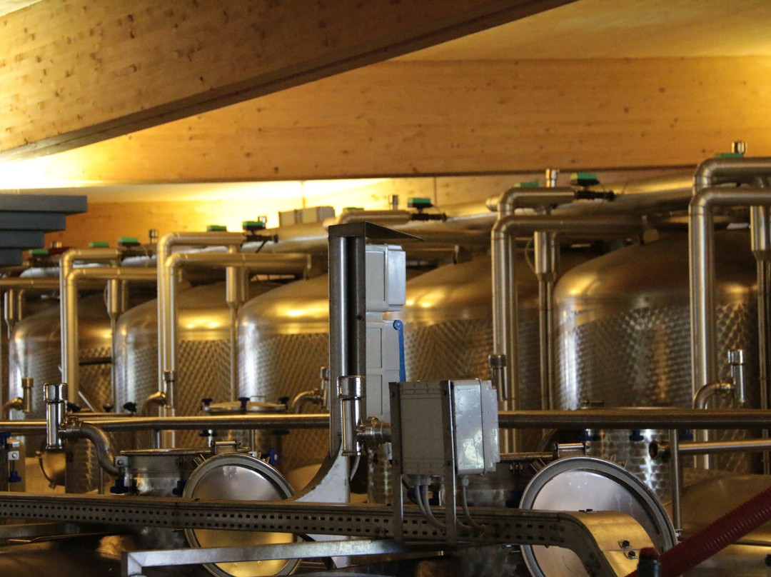 Cantina Sociale di Trento景点图片