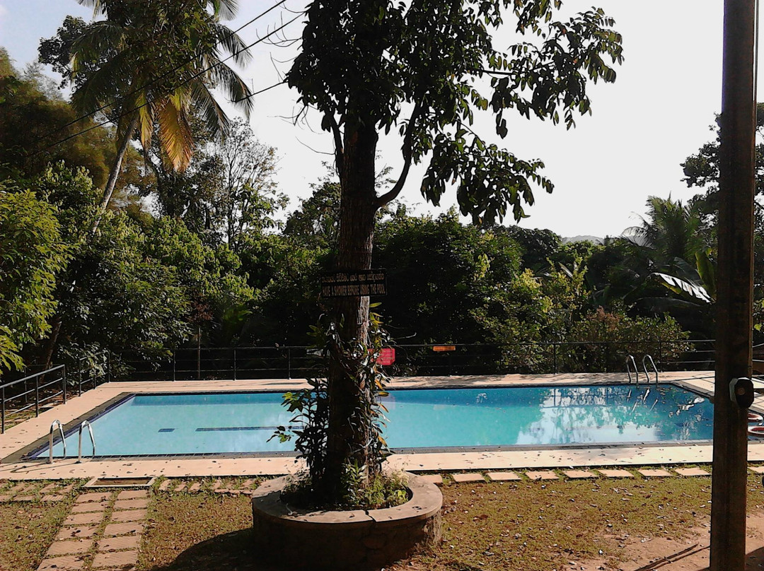 The Nature's Resort