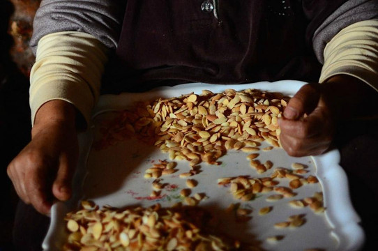 Wheels Across Morocco - Day Tours-索维拉必去景点