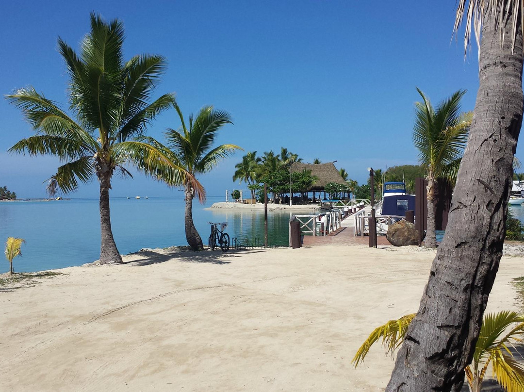 Musket Cove Yacht Club Island Bar景点图片