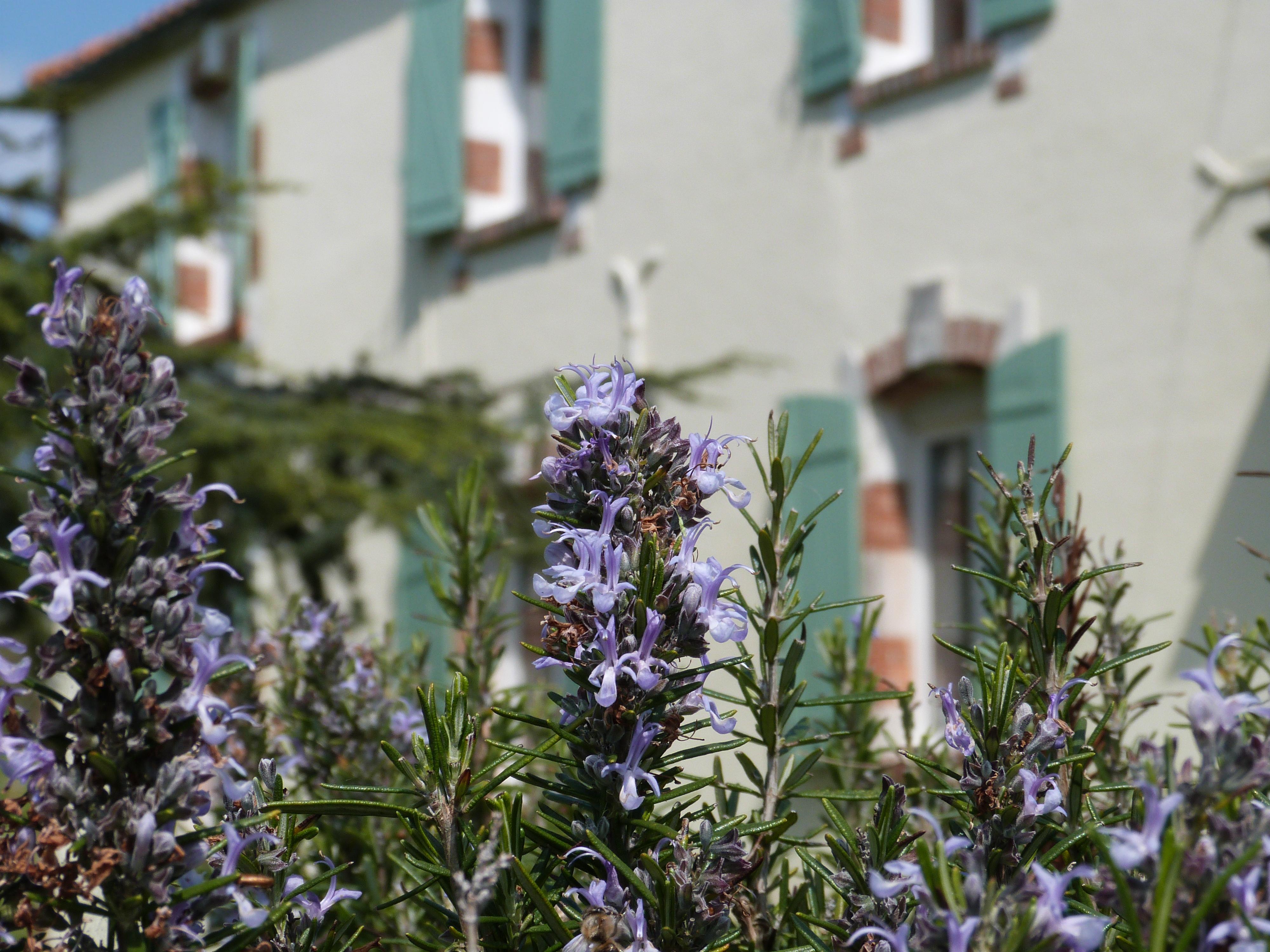 Chambres D'Hotes Le Cartounier-官方