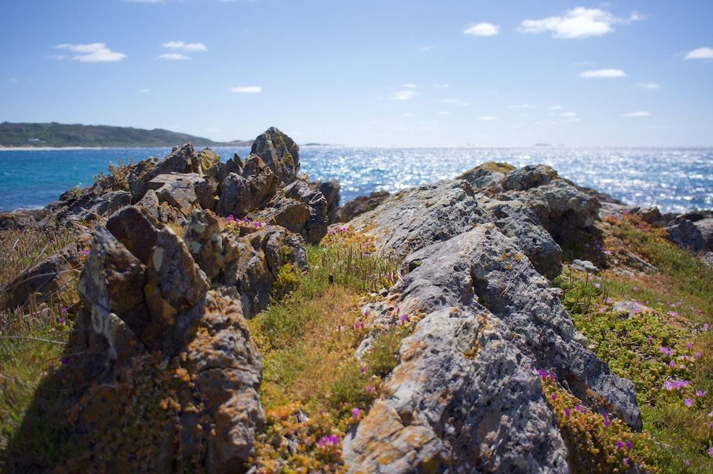 King Island Tours-King Island必去景点