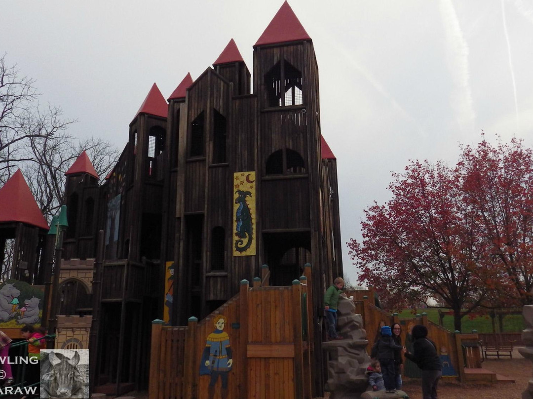 Kids Castle景点图片