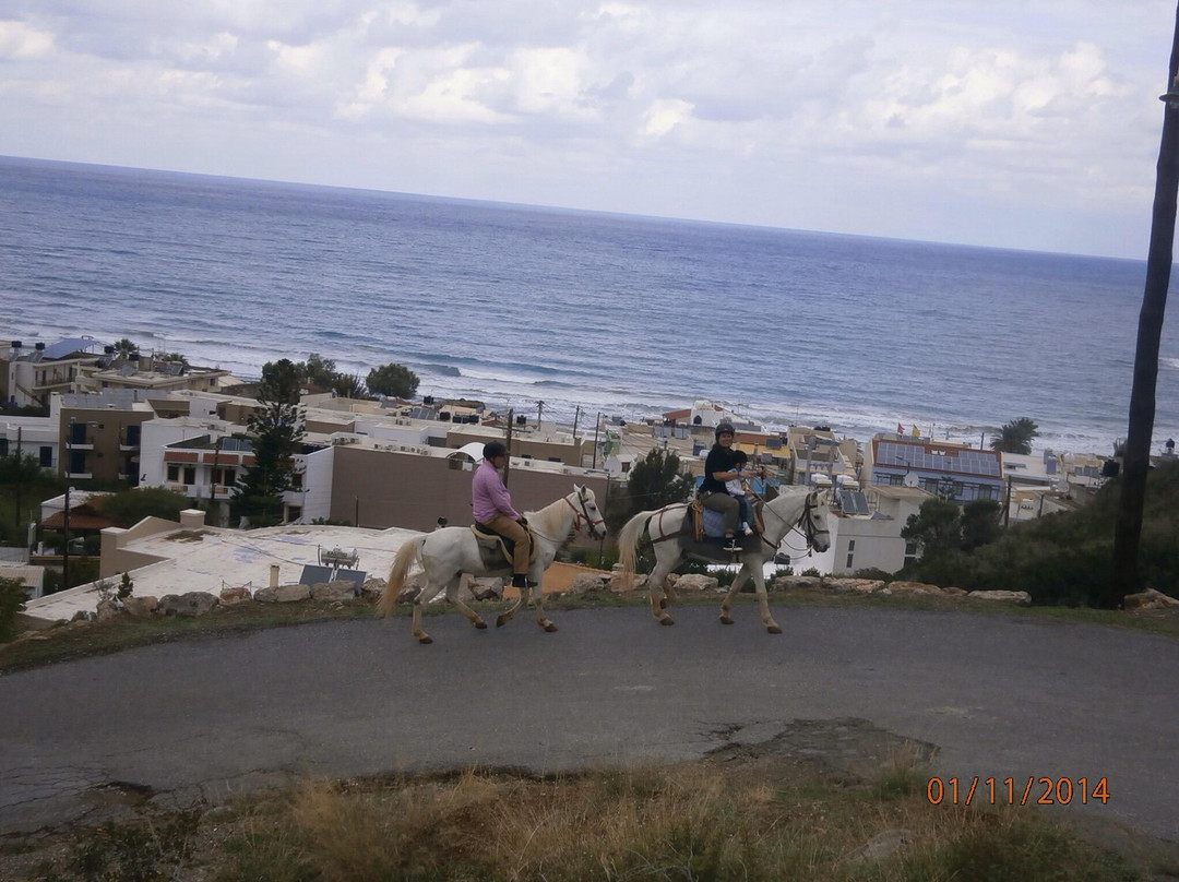 Amarillis Stable-Mochos必去景点