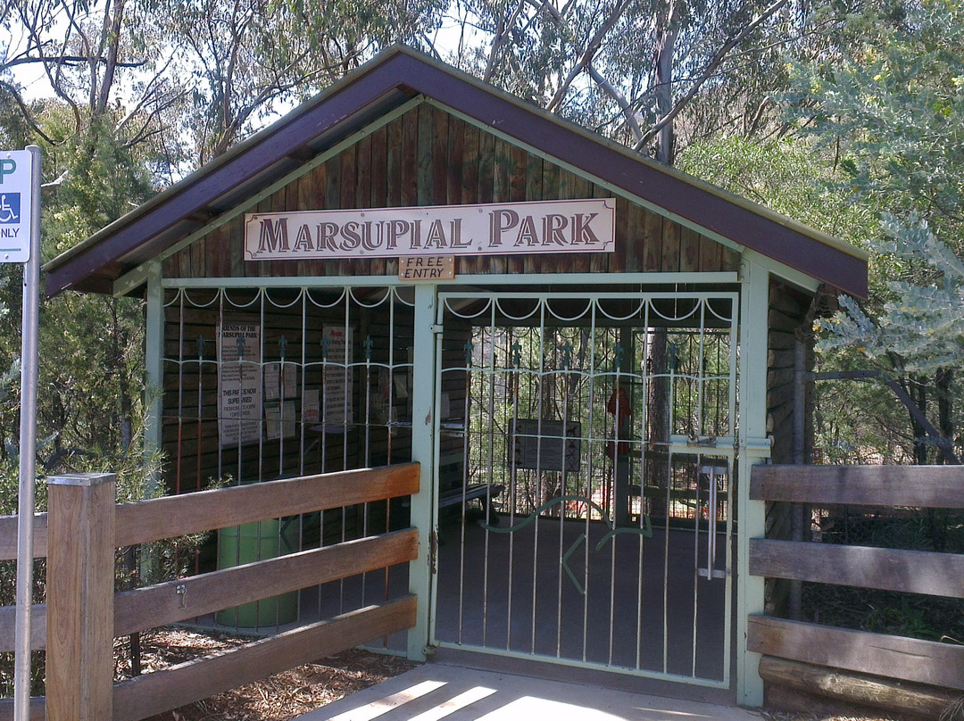 Tamworth Marsupial Park景点图片