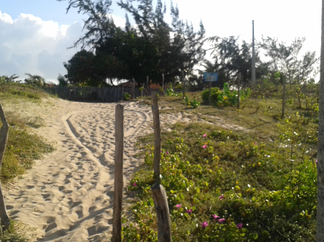 Praia de Almofala-Itarema必去景点