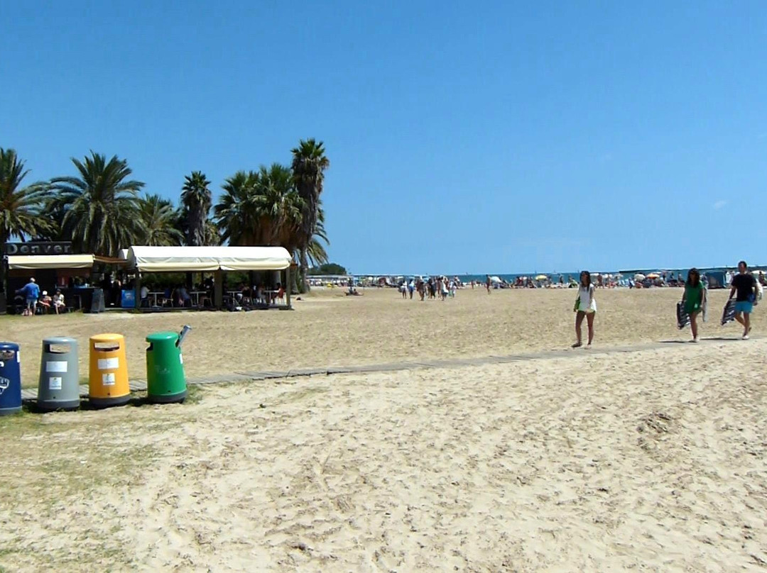 Platja del Regueral i Prat d'En Fores-坎布里尔斯必去景点