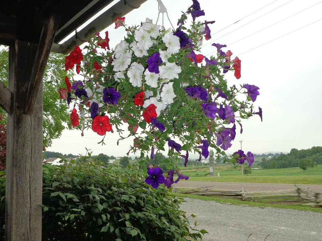 Wendell August Ohio Amish Country Store-Berlin必去景点
