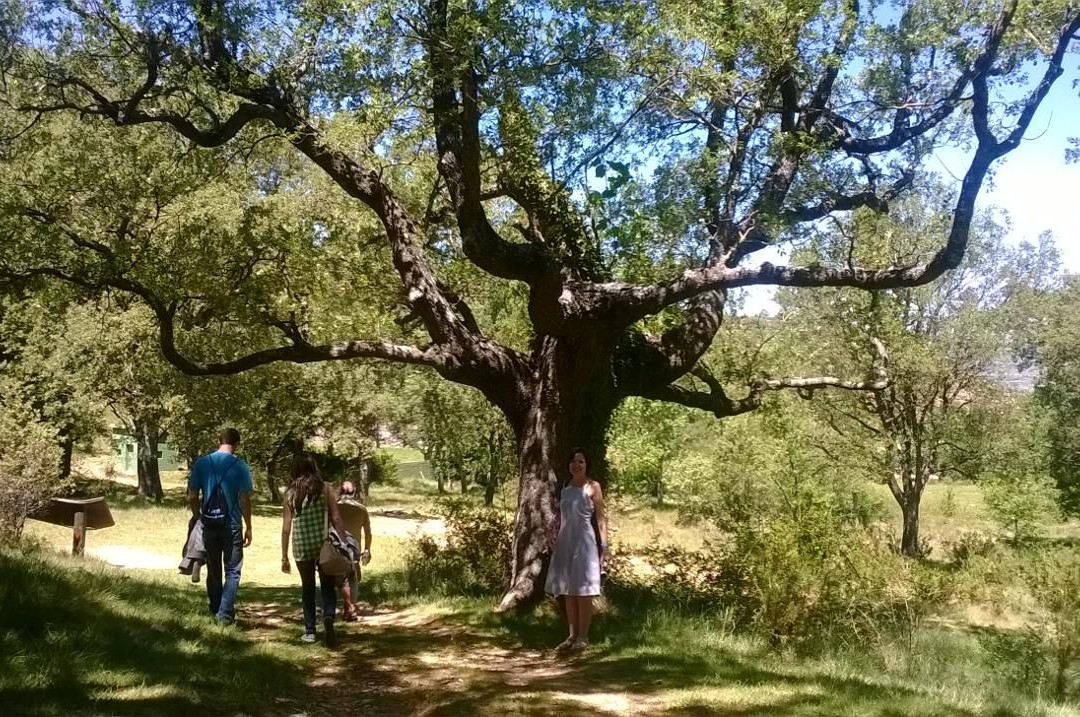 Hotel Los Pinos主图