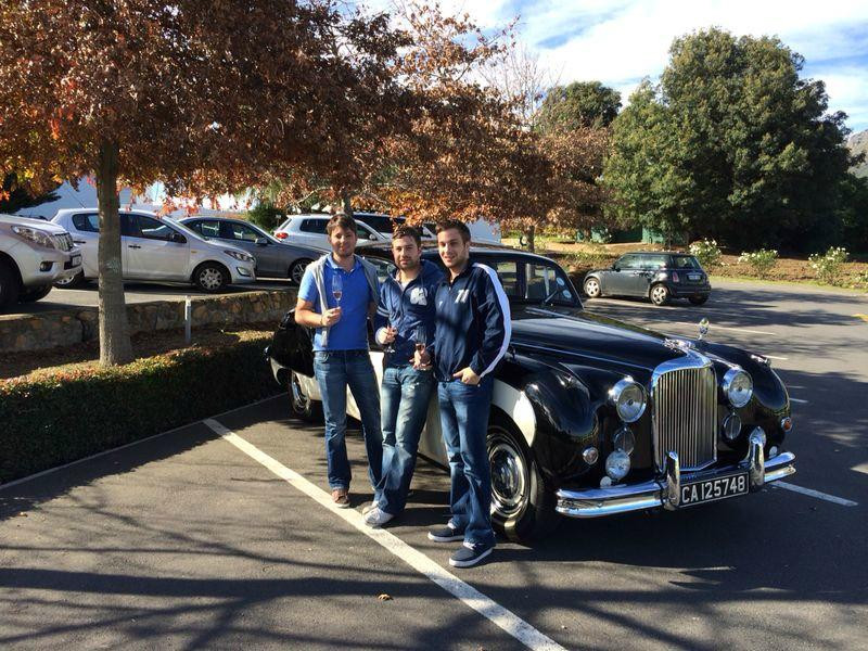 Classic Cats-斯泰伦博斯必去景点