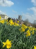 The Cambridge Tour Company景点图片
