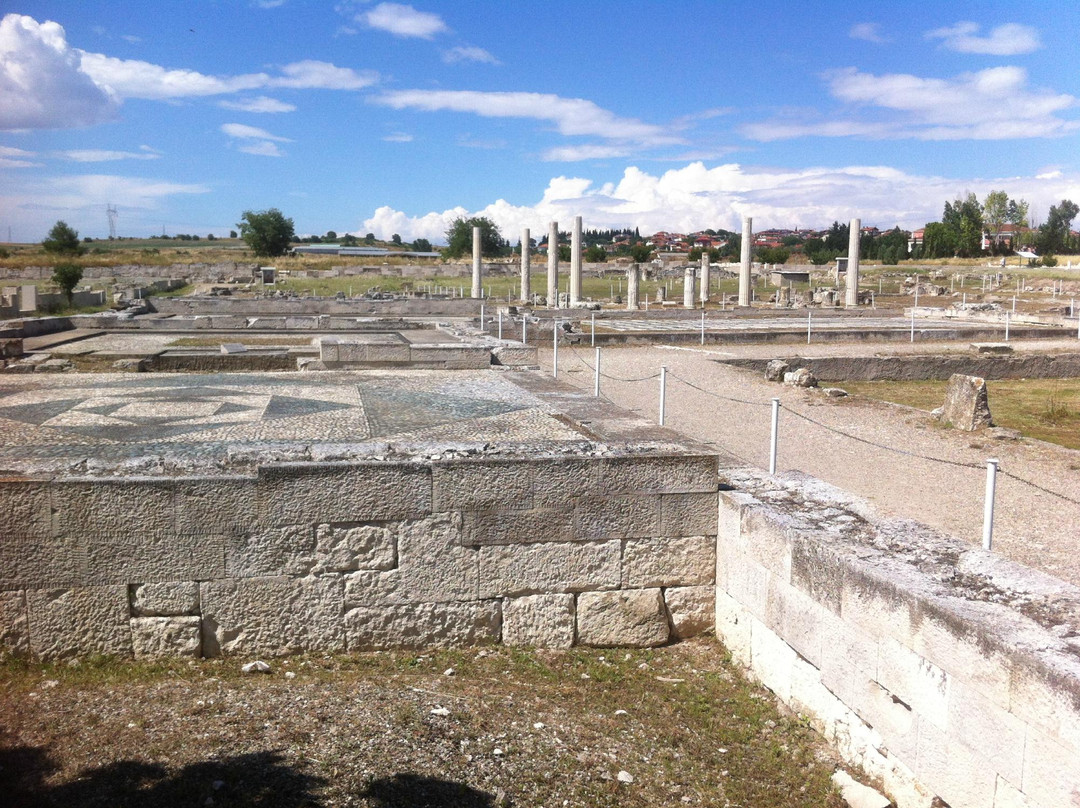 Archaeological Site at Pella景点图片