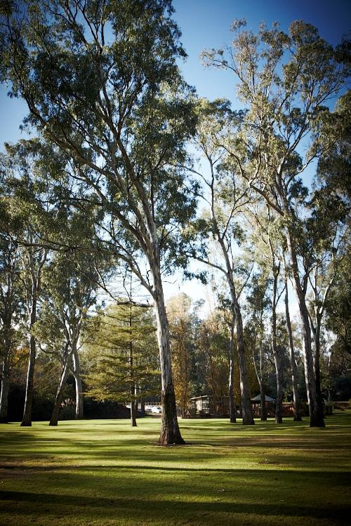 Wangaratta旅游景点-Merriwa Park