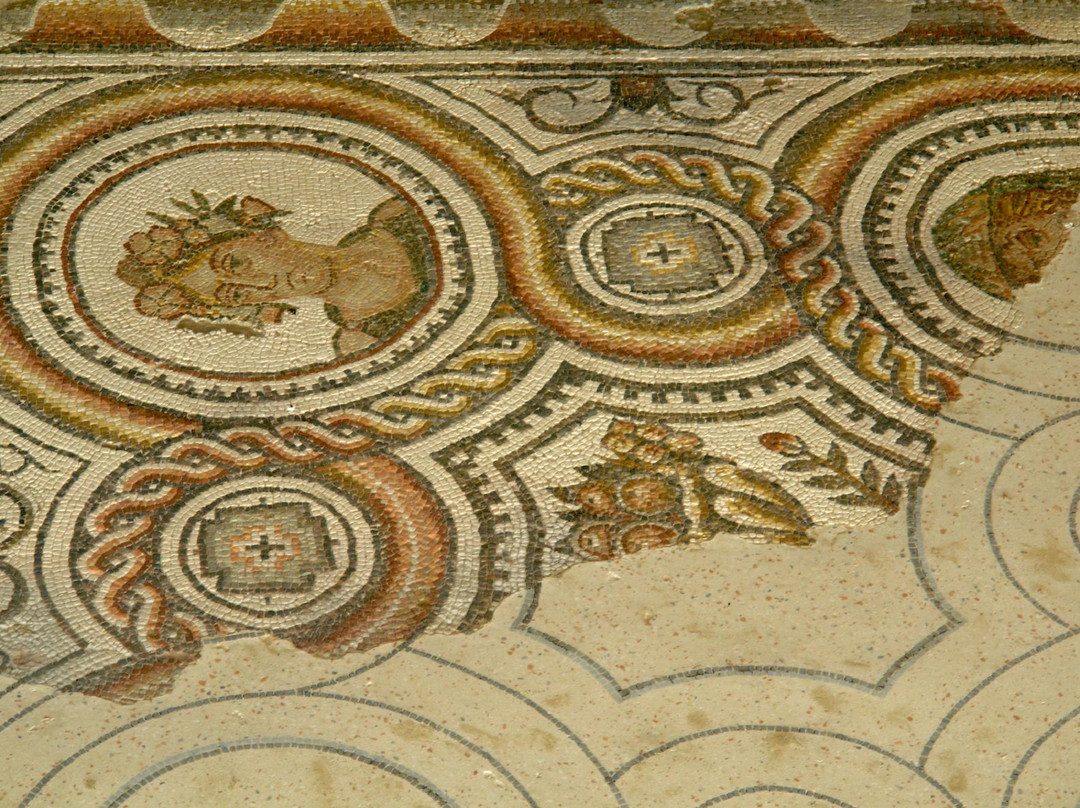 Musee de site Villa-Loupian景点图片