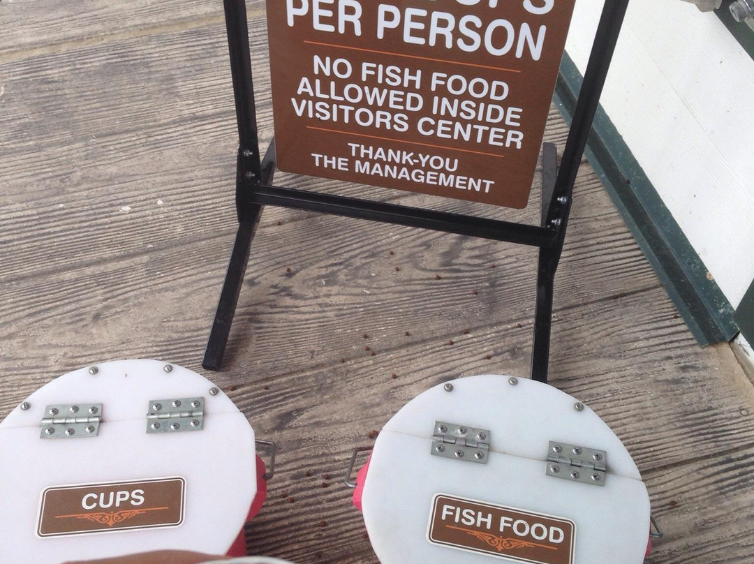 Neosho Federal Fish Hatchery-Neosho必去景点