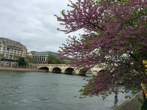 新桥-巴黎必去景点