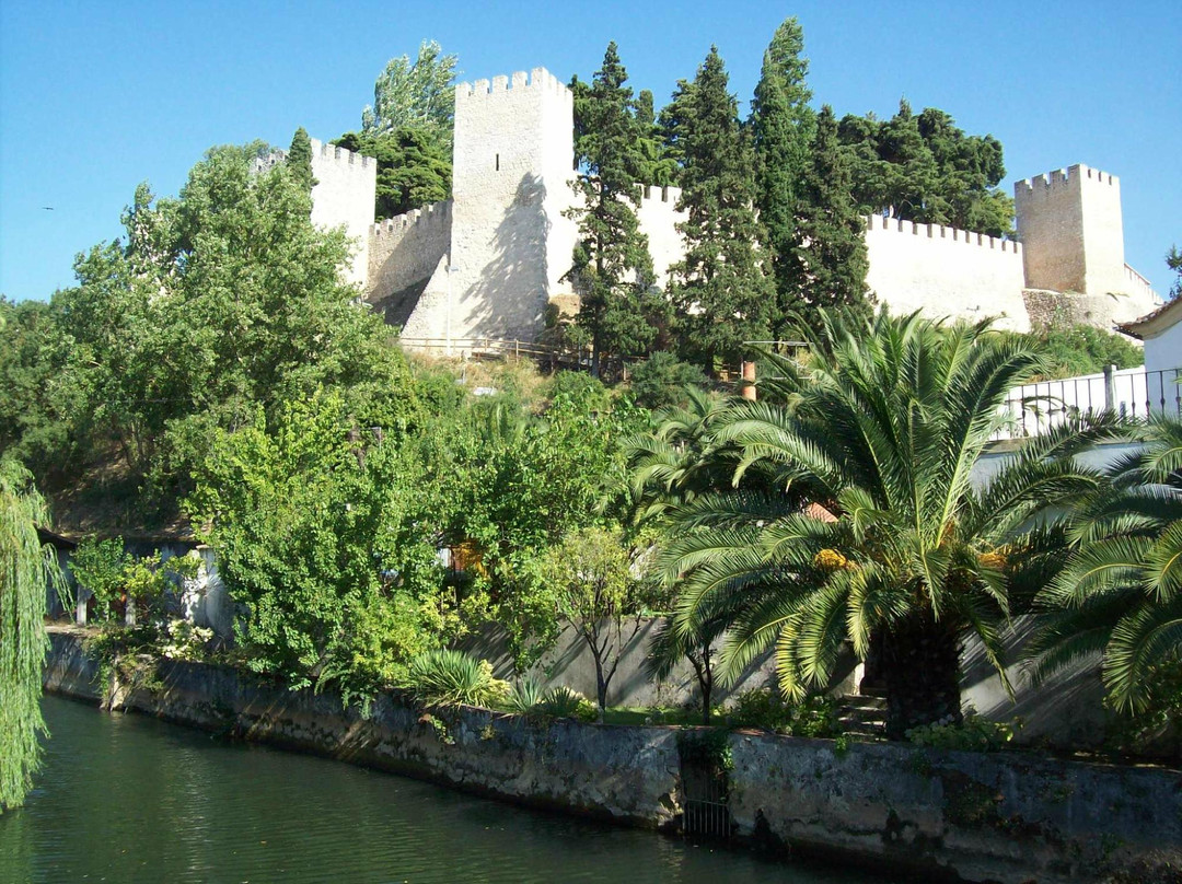 Castelo de Torres Novas景点图片