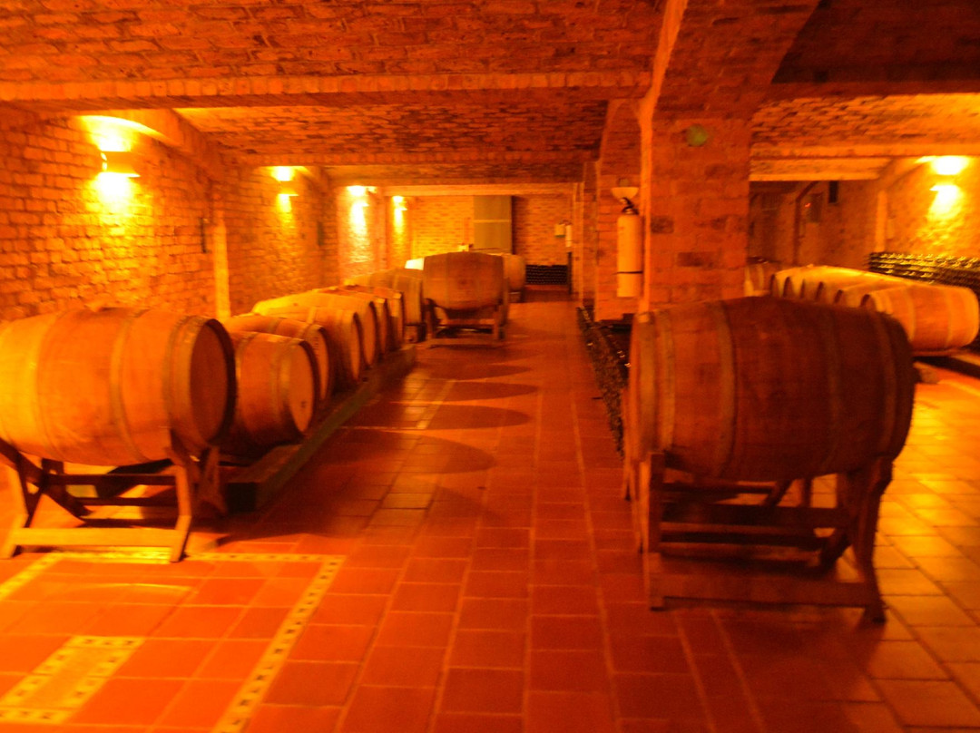 Viñedo Ain Karim-莱瓦镇必去景点