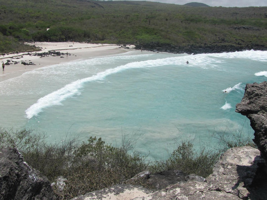 Darwin Scuba Dive-Puerto Baquerizo Moreno必去景点