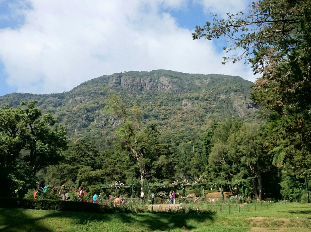 Hakgala皇家植物园-奴娃拉伊利雅必去景点